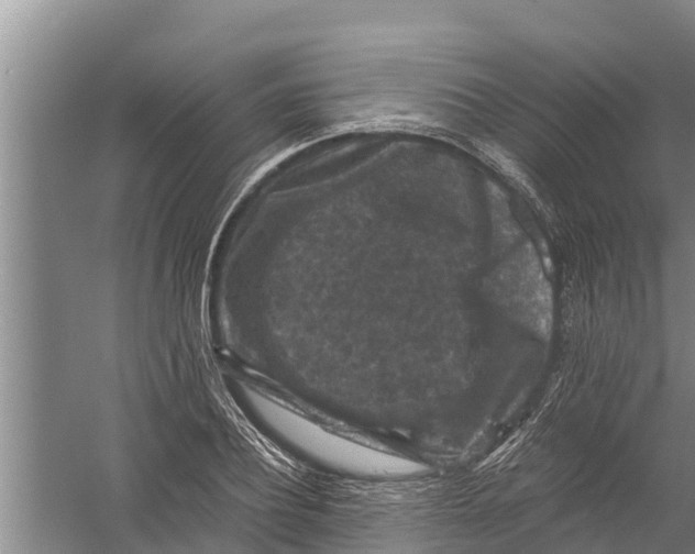 X0000058760932200510281914