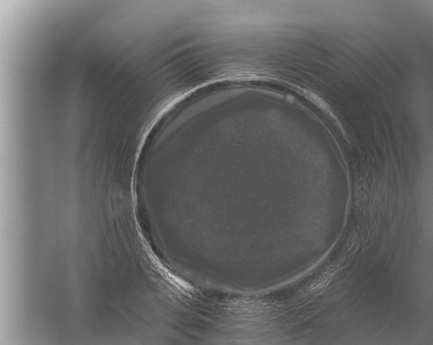 X0000058760935200510281914