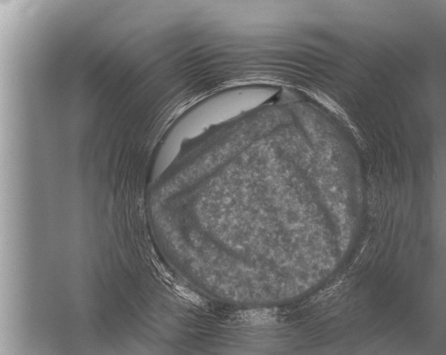 X0000058760937200510281914