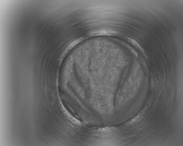 X0000058760938200510281914