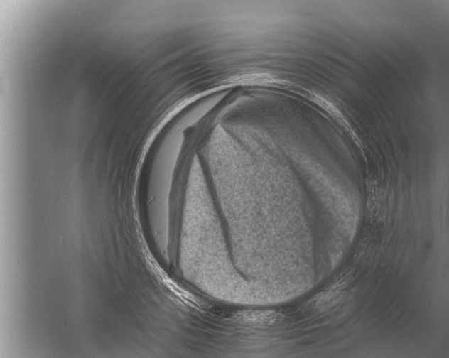 X0000058760939200510281914