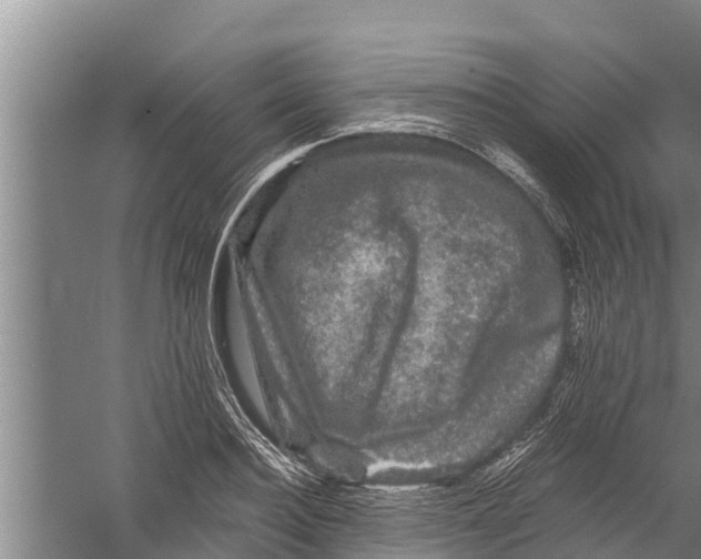 X0000058760940200510281914