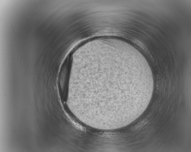 X0000058760942200510281914