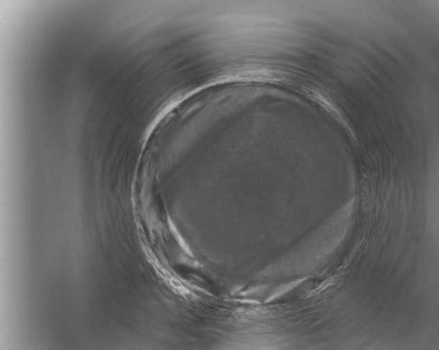 X0000058760944200510281914