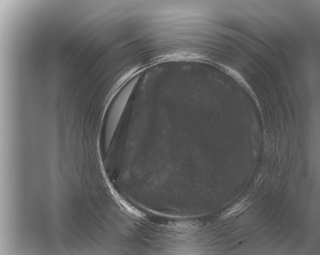 X0000058760946200510281914