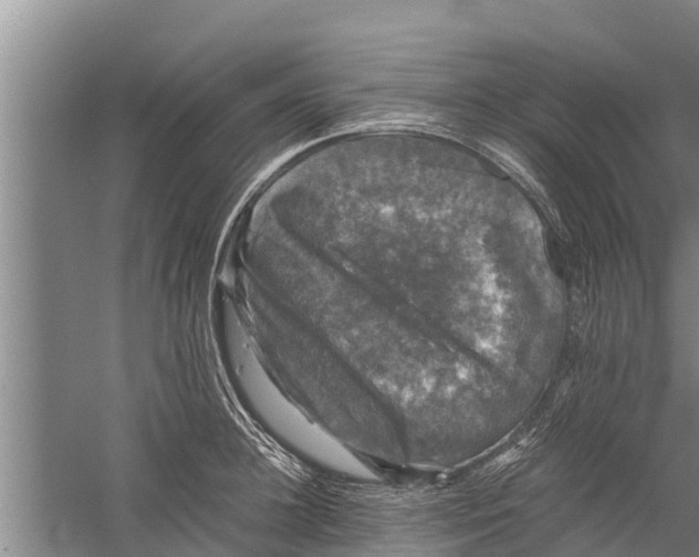 X0000058760948200510281914