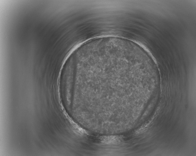 X0000058760949200510281914