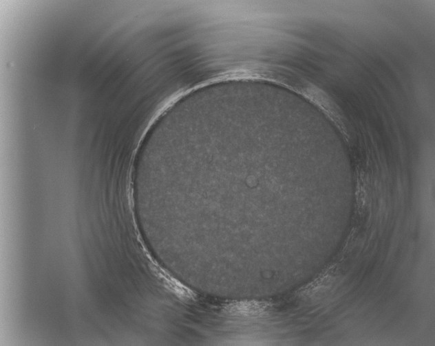 X0000058760950200510281914