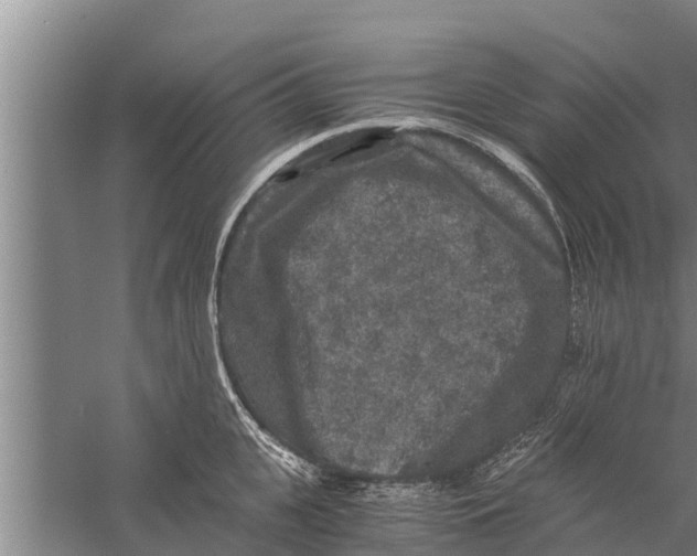 X0000058760951200510281914