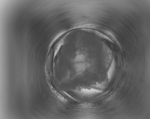 X0000058760952200510281914