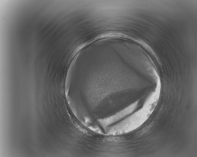 X0000058760953200510281914