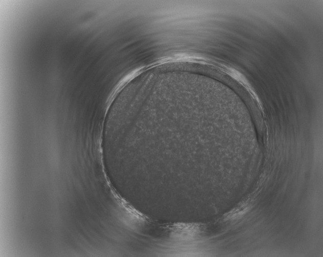 X0000058760954200510281914