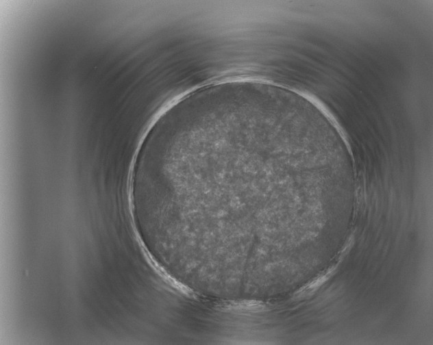 X0000058760957200510281914