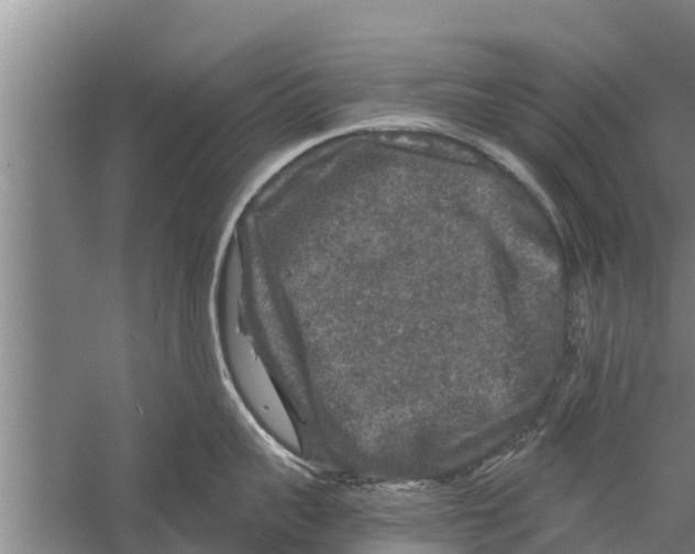 X0000058760959200510281914