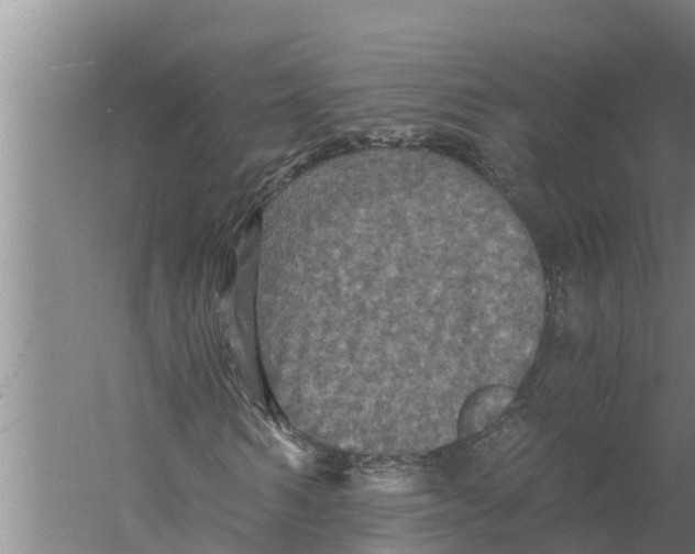 X0000058760962200510281914