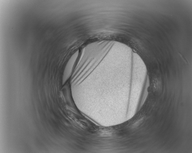 X0000058760964200510281914