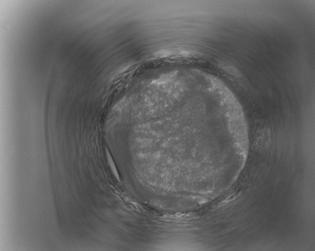 X0000058760966200510281914