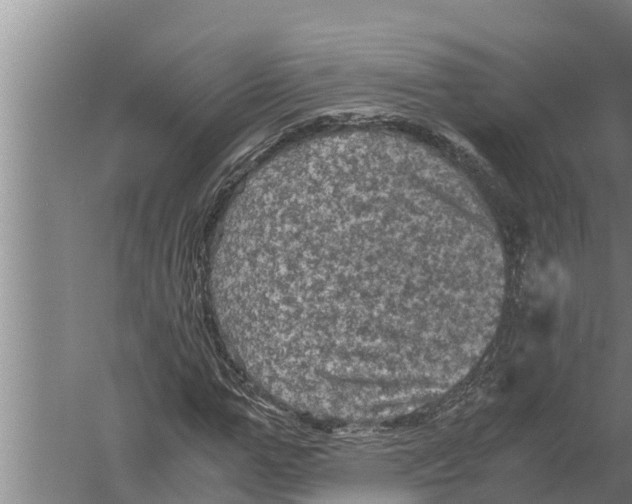 X0000058760967200510281914