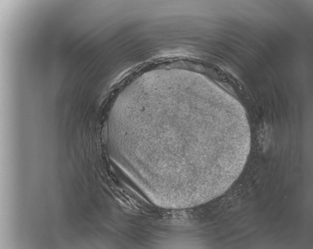 X0000058760968200510281914