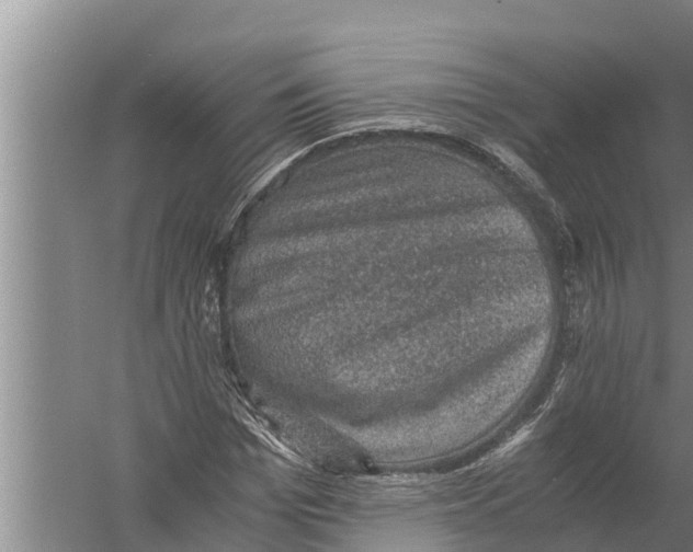 X0000058760969200510281914