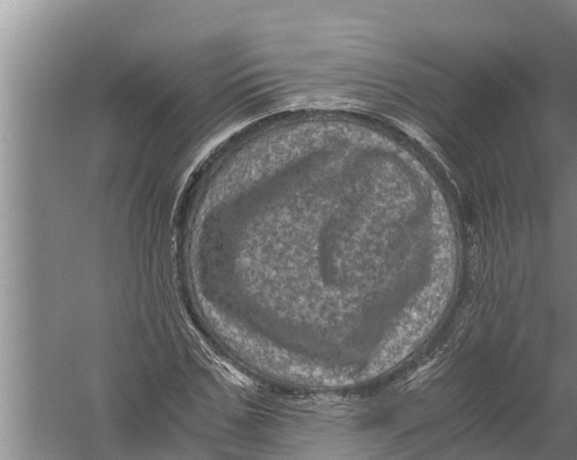 X0000058760971200510281913