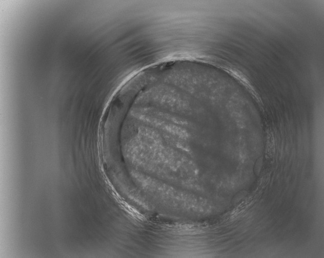 X0000058760976200510281913