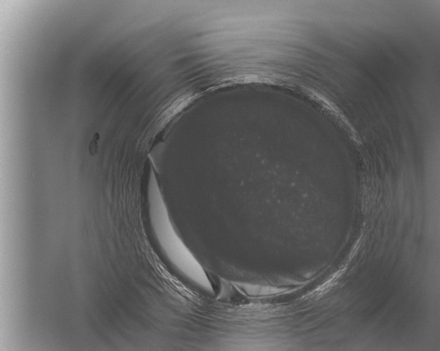 X0000058760977200510281913