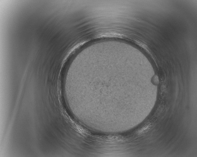 X0000058760979200510281913