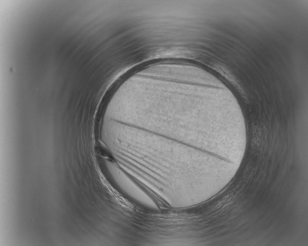 X0000058760980200510281913