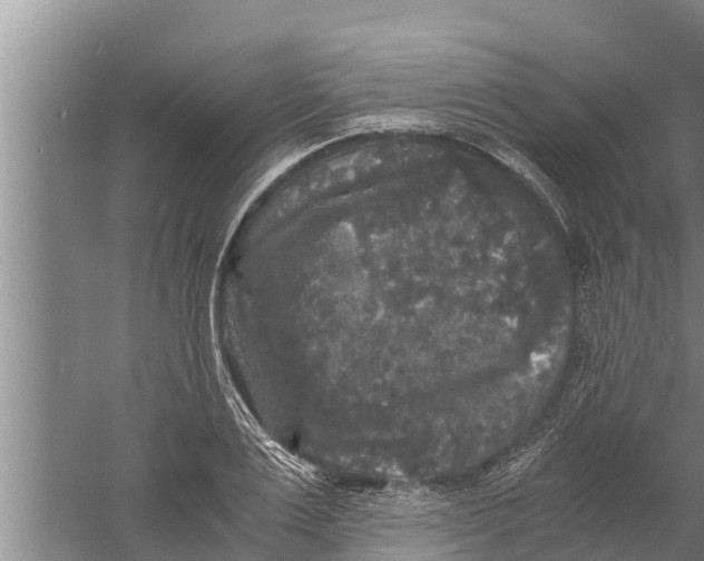 X0000058760983200510281913