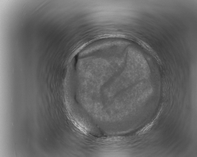 X0000058760985200510281913