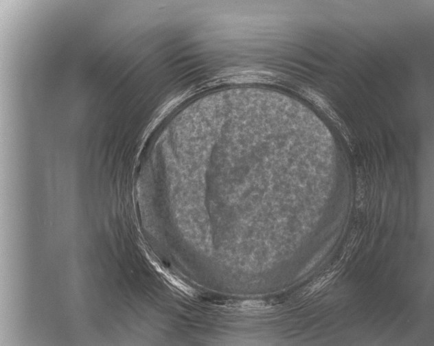 X0000058760986200510281913