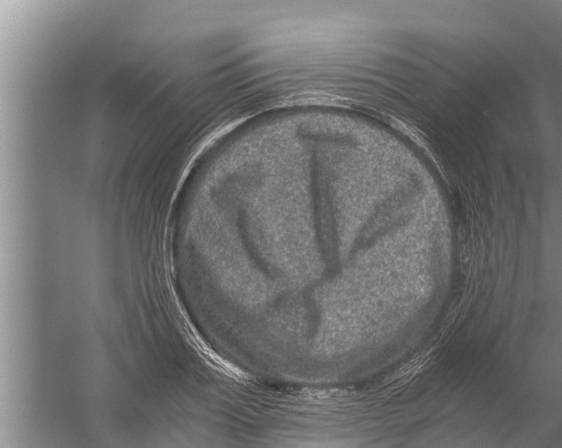 X0000058760987200510281913