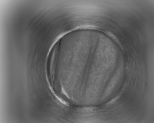 X0000058760989200510281913