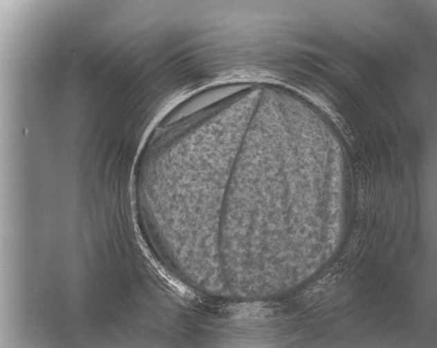 X0000058760990200510281913