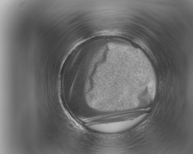 X0000058760992200510281913