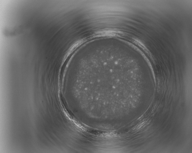 X0000058760994200510281913