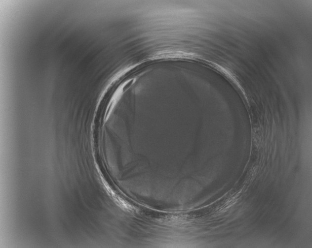 X0000058760995200510281913