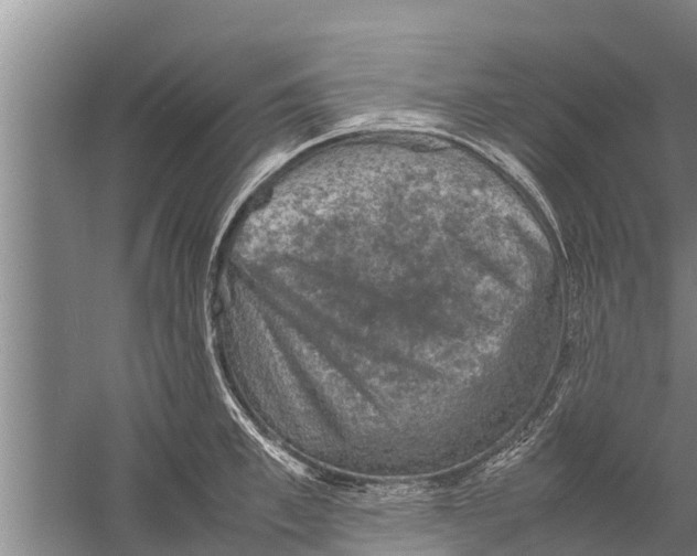 X0000058760997200510281913