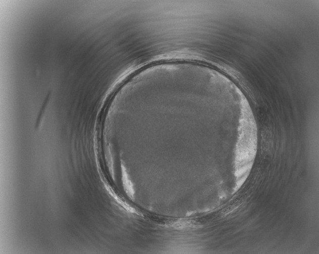 X0000058760998200510281913