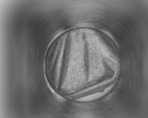 X0000058760999200510281913