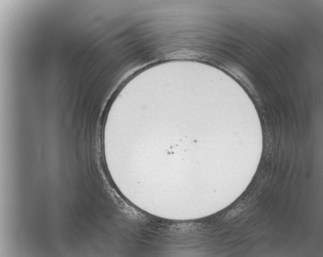 X0000058761000200510281913