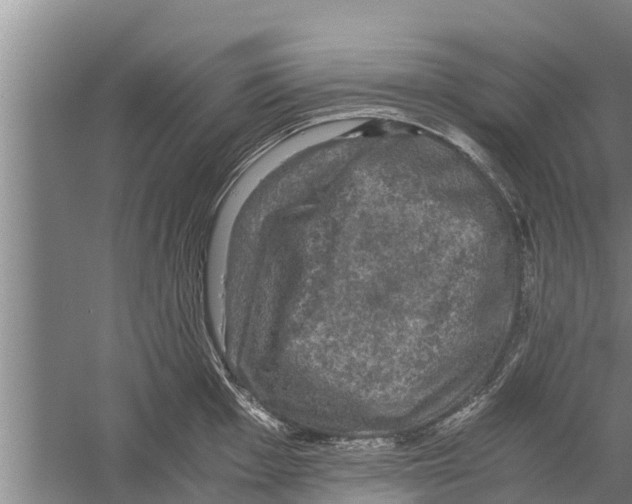 X0000058761001200510281913