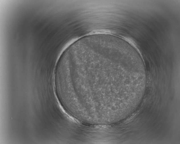 X0000058761003200510281913