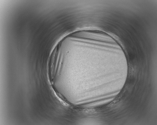 X0000058761006200510281913