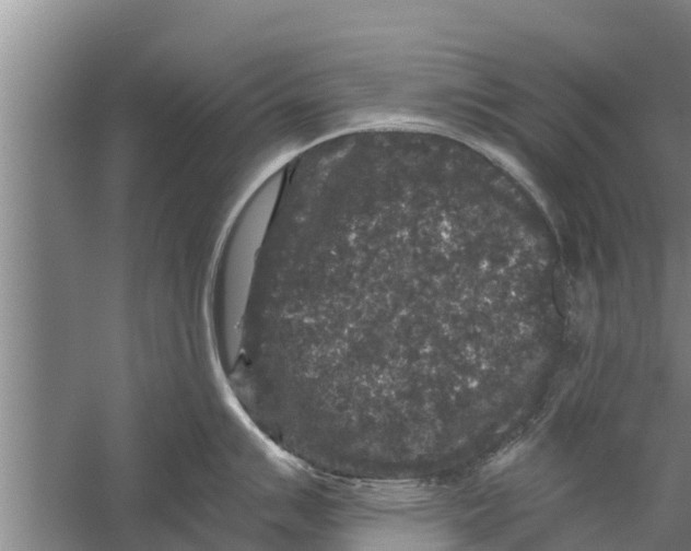 X0000058761007200510281913