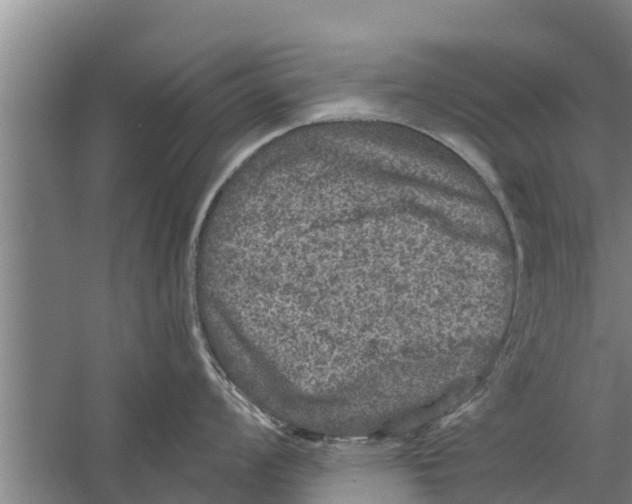 X0000058761008200510281913