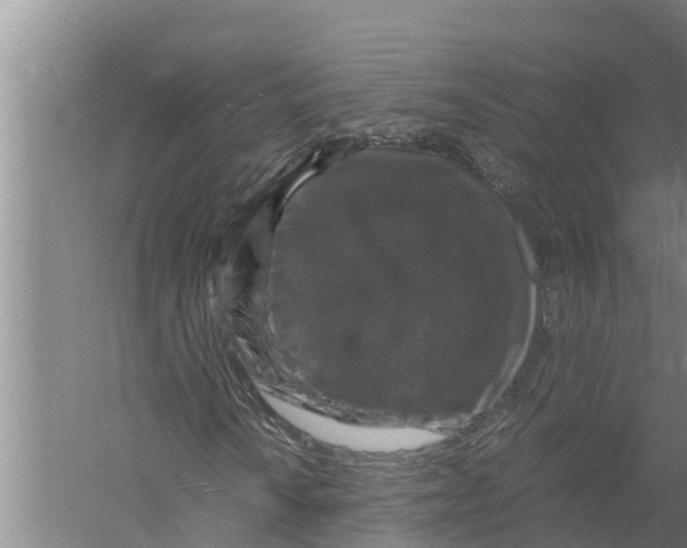 X0000058761010200510281912