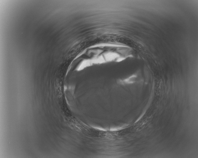 X0000058761013200510281912