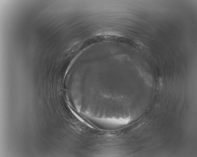 X0000058761014200510281912